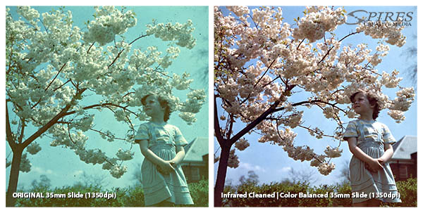 Photo Image Cleaning